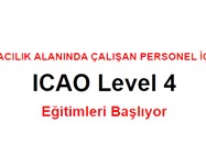 ICAO Level 4, ICAO Level 4